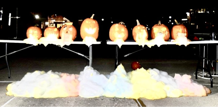 A look at the
aftereffects of
the “vomiting
pumpkins”