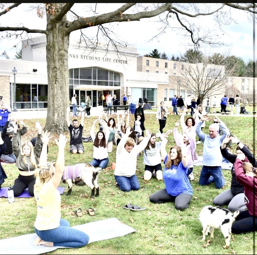 Students+and+their+families+participate+in+goat+yoga