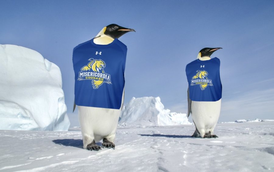 Penguins can be seen wearing Misericordia merchandise
